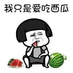 可以吃娱乐圈瓜吗